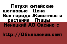 Петухи китайские шелковые › Цена ­ 1 000 - Все города Животные и растения » Птицы   . Ненецкий АО,Оксино с.